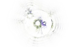 2014 05 03 Test 03-white.jpg